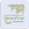 photo - Mini Encreur - Motifs détaillés - Aquarelle - Mousse espagnole - VersaFine - Tsukineko
