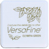 photo - Mini Encreur - Motifs détaillés - Aquarelle - Vert olympia - VersaFine - Tsukineko