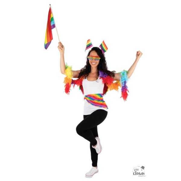 Boa à plumes - Multicouleurs - Déguisement - Clown - Soirées - 1,80m longueur