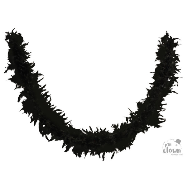 photo-Boa à plumes - Noir - 160 cm - Déguisement - Fête - Soirées - Cabaret - Charleston