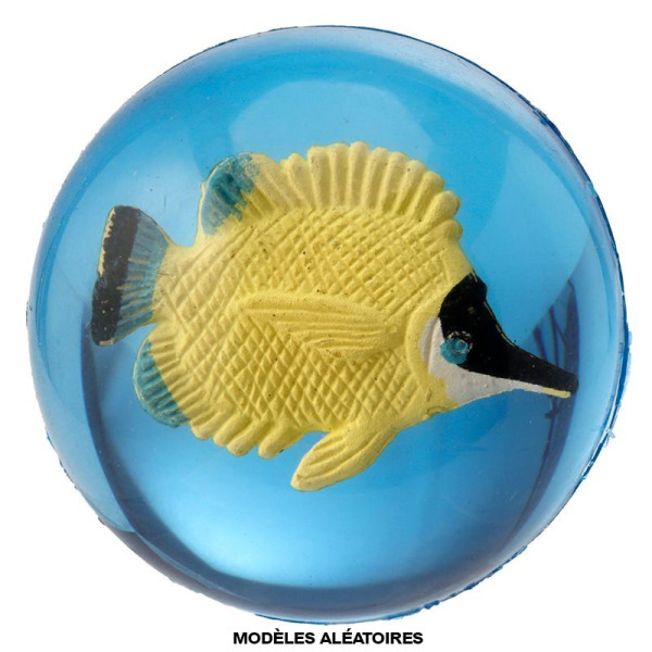 photo-Balle rebondissante - Poissons tropicaux - 3D - Jeu - Enfant - Kermesse