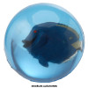 Balle rebondissante - Poissons tropicaux - 3D - Jeu - Enfant - Kermesse