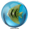 Balle rebondissante - Poissons tropicaux - 3D - Jeu - Enfant - Kermesse
