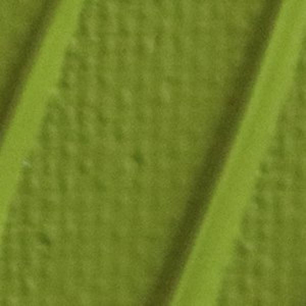 Peinture acrylique - Vert olive clair - 26 - Haute viscosité - Pébéo - Origin acrylics - 60ml