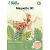 photo - Maquette - Puzzle - 3D - En bois - Mante religieuse - 27 pièces - Dès 8 ans