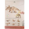 Maquette - Puzzle - 3D - En bois - Triceratops - 55 pièces - Dès 8 ans