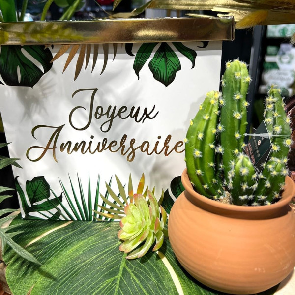 Urne - Motif tropical - Carré - Joyeux anniversaire - Cagnotte - Carton - 20x20x20cm - Tropical party