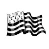 photo-Autocollant - Drapeau breton - Adhésif - Voiture - Tous supports - Bretagne