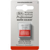 Aquarelle Professionnelle Extra-Fine - 1/2 Godet - Brun de garance - 56 - Winsor Et Newton