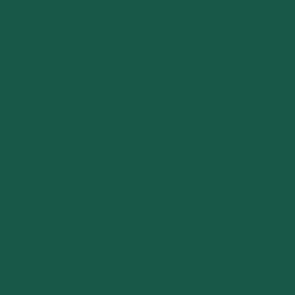 Peinture acrylique Princess Mérit - Vert émeraude - 250 ml - Cléopâtre