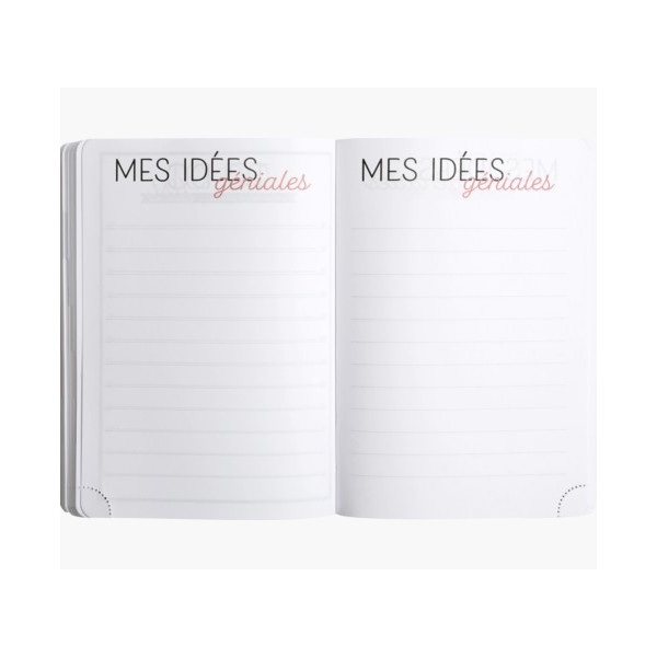 Agenda - 2026/2027 - Scolaire - Rose pastel - 1jour par page - Septembre à Septembre - Exacompta