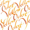 Encre pour calligraphie - Ocre jaune - Winsor et Newton - Flacon de 30ml - Beaux-arts
