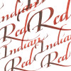 Encre pour calligraphie - Rouge indien - Winsor et Newton - Flacon de 30ml - Beaux-arts