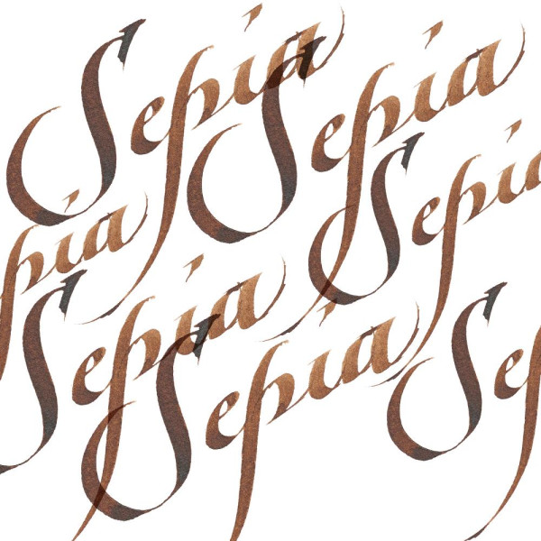 Encre pour calligraphie - Sépia - Winsor et Newton - Flacon de 30ml - Beaux-arts