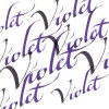 Encre pour calligraphie - Violet - Winsor et Newton - Flacon de 30ml - Beaux-arts