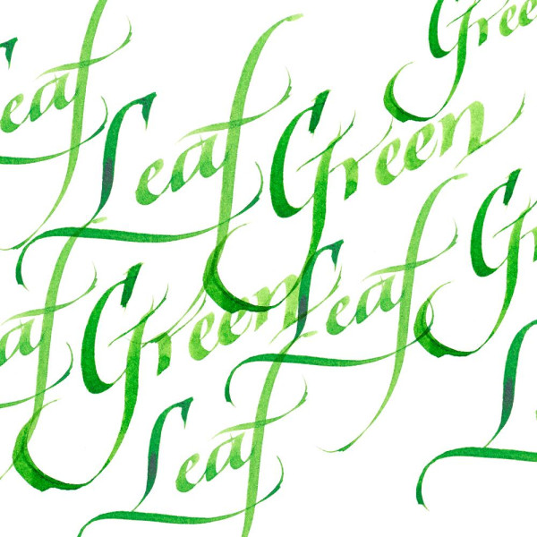 Encre pour calligraphie - Vert clair - Winsor et Newton - Flacon de 30ml - Beaux-arts