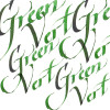 Encre pour calligraphie - Vert - Winsor et Newton - Flacon de 30ml - Beaux-arts