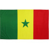 photo - Drapeau du supporter - Sénégal - 90x150cm - Polyester - Evénement - Fête