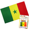 photo - Drapeau du supporter - Sénégal - 90x150cm - Polyester - Evénement - Fête
