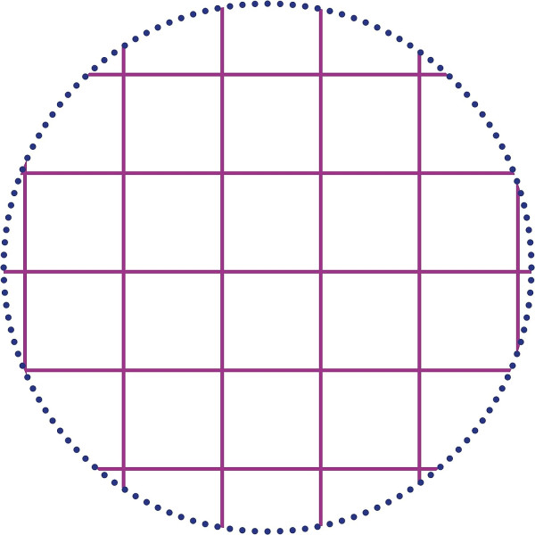 Répertoire - A4 - Sans spirale - 192 pages - Petits carreaux - Clairefontaine