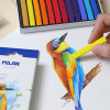 Pastels - Souple - Tendre - 12 couleurs - Beaux-arts - Scolaire - Milan