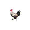 Appeau - Oiseau - Coq - Imiter le chant des oiseaux - Fuzeau