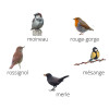 Appeaux - 5 oiseaux des jardins - Imiter le chant des oiseaux - Fuzeau