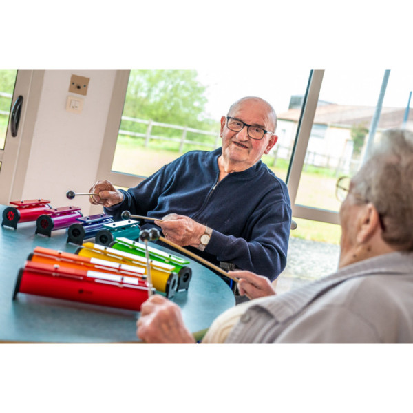 Xylophone - Classic métallonotes - 8 lames - Instrument de musique - Housse incluse