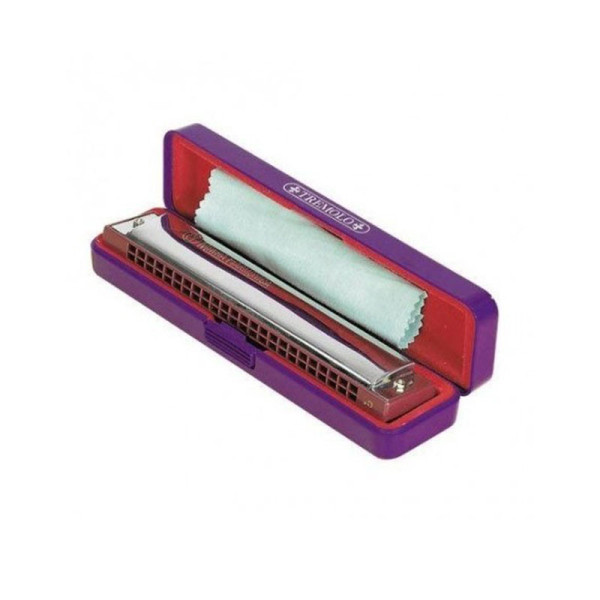 photo-Harmonica - 24 trous - Instrument de musique - Métal - Avec boîtier
