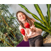 Maracas - Lot de 2 - Instrument de musique - Bois peint - Enfant dès 4 ans