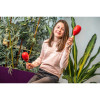 Maracas - Lot de 2 - Instrument de musique - Bois peint - Enfant dès 4 ans