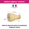 Appeau - Oiseau - Merle - Imiter le chant des oiseaux - Fuzeau