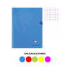 photo-Cahier - 24x32(cm) - Petits carreaux - 96 pages - polypro - sans spirale - Clairefontaine - Mimesys