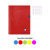 Cahier - 24x32(cm) - Petits carreaux - 96 pages - polypro - sans spirale - Clairefontaine - Mimesys