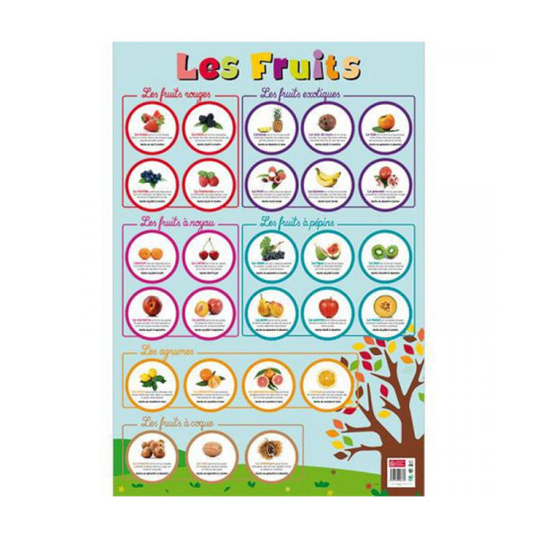 photo-Poster pédagogique - J'apprends les fruits - 52x76cm - A afficher - Bouchut