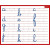 photo-Ardoise effaçable - 2 faces - Lettres de l'alphabet - 21x26,5cm - Scolaire