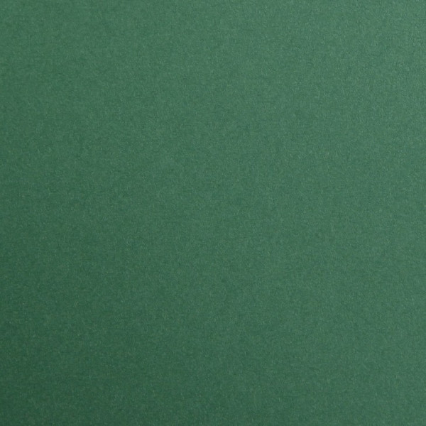 25 feuilles de papier - Vert antique - A4 - 270g - Lisse - Dessin, loisirs créatifs - Maya