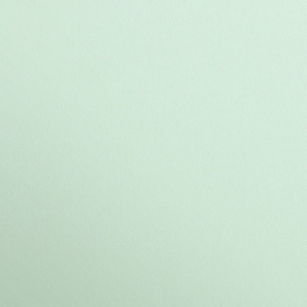 25 feuilles de papier - Vert menthe - A4 - 270g - Lisse - Dessin, loisirs créatifs - Maya