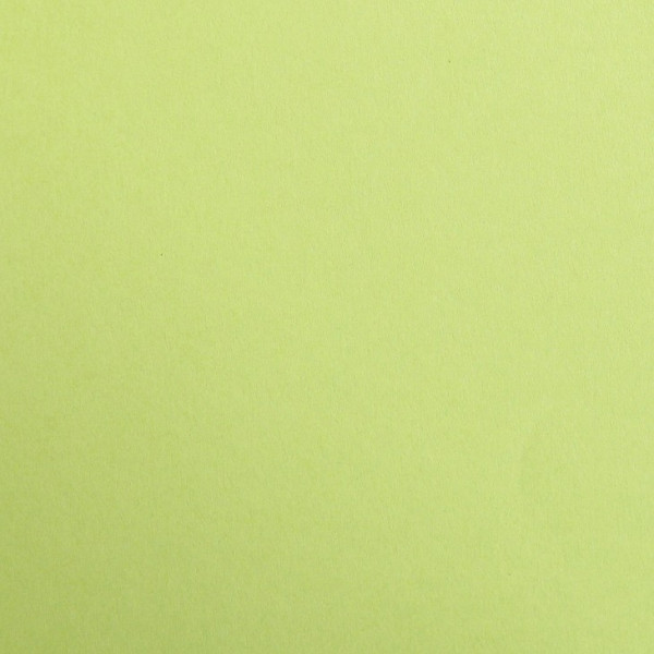 25 feuilles de papier - Vert mousse - A4 - 270g - Lisse - Dessin, loisirs créatifs - Maya