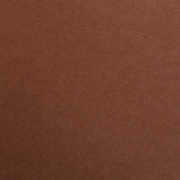 25 feuilles de papier - Marron - A4 - 270g - Lisse - Dessin, loisirs créatifs - Maya