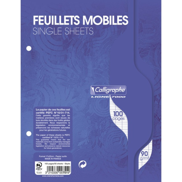 photo-Feuilles simples - Petit format - Grands carreaux - Perforées - 100 feuilles - Clairefontaine