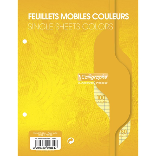 photo-Feuilles simples - Petit format - Grands carreaux - Jaune - Perforées - 100 feuilles - Clairefontaine