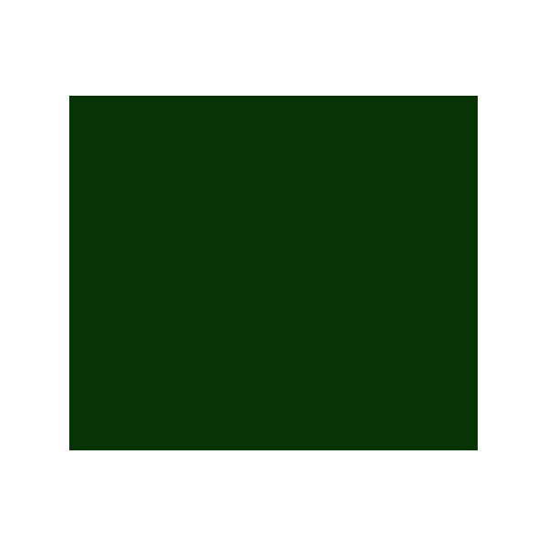Peinture acrylique - Vert Hooker - 809 - Abstract - Sennelier - Tube 60ml