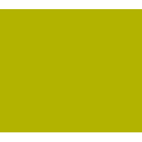 Encre - Acrylique - Vert jaune olive - 812 - Sennelier - Flacon 30ml - Beaux-arts