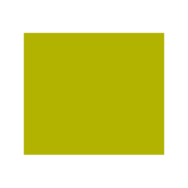 Encre - Acrylique - Vert jaune olive - 812 - Sennelier - Flacon 30ml - Beaux-arts