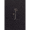Carnet - Dessin - 19x25cm - 50 feuilles - 90g - Grain fin - Clairefontaine