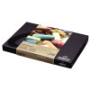 Pastels - Tendre - Extra fin - 60 couleurs - Beaux-arts - Rembrandt