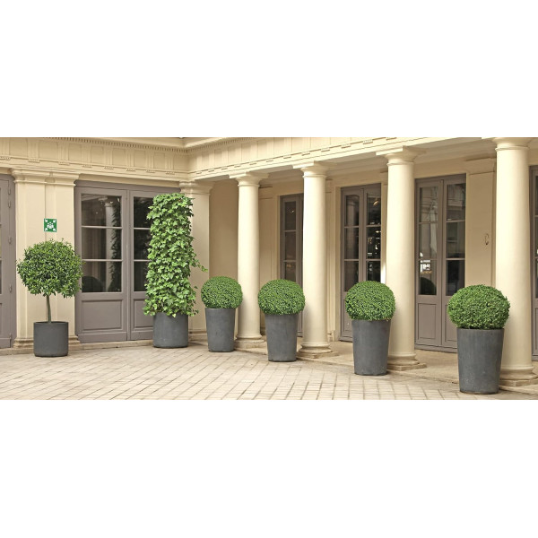 Panneau adhésif - Point rassemblement - 20x20cm - Vert/blanc - PVC - Signalétique