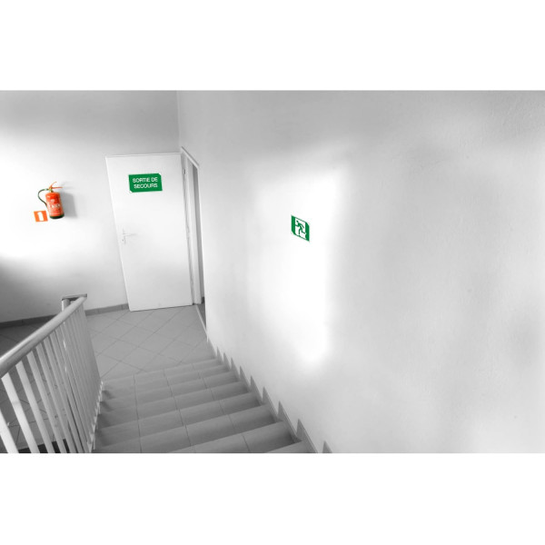 Panneau adhésif - Evacuation à gauche - 20x20cm - Vert/blanc - PVC - Signalétique