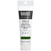 photo-Peinture acrylique - Vert de Hooker - 224 - Liquitex - Heavy Body - Tube 59ml